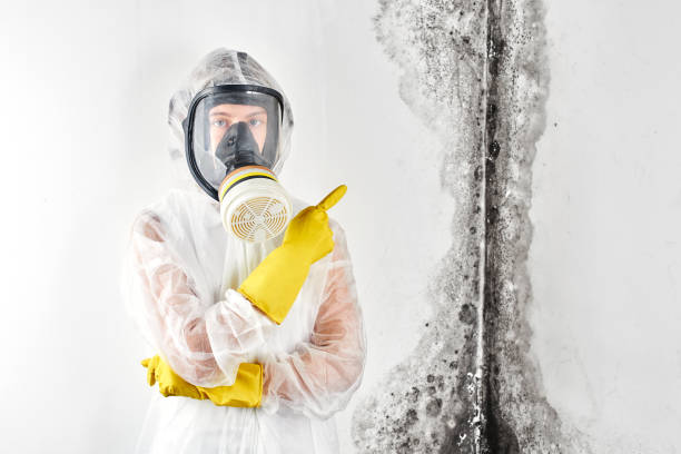 Carpet water damage restoration in Mountain Green, UT